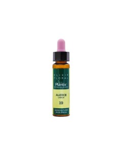 Flor De Bach Alerce (Larch), 10ml