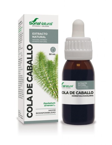 Extracto de Cola de Caballo XXI 50 ml.