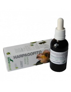 Extracto de Harpagofito XXI 50 ml.