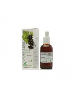 Extracto de Grosellero Negro 50 ml.
