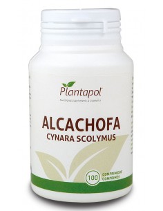 Alcachofa,Plantapol.