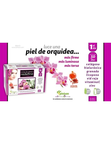 Colágeno Redefine. 30 sobres.