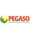 PEGASO