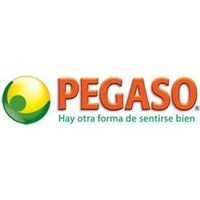 PEGASO